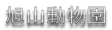 旭山動物園